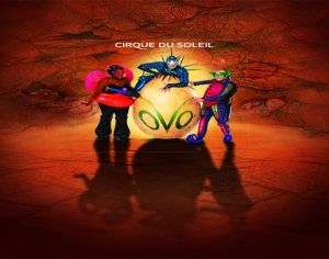 CIRQUE OVO